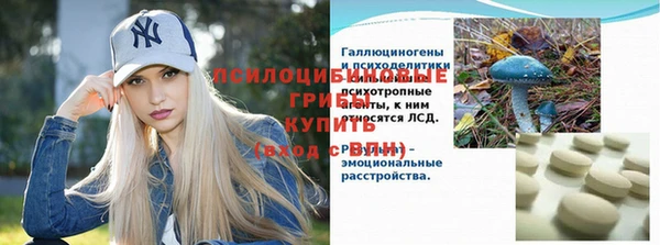 Альфа ПВП Арсеньев