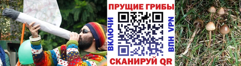 МЕГА зеркало  Россошь  Галлюциногенные грибы мухоморы 